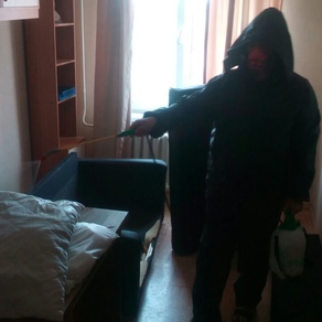 Уничтожение тараканов в квартире с гарантией в Нижнем Тагиле